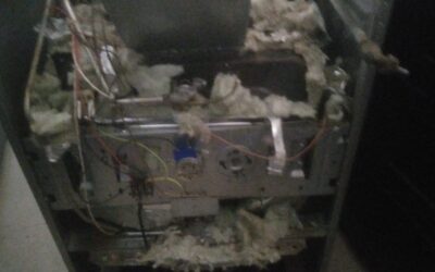 service dispenser (16)